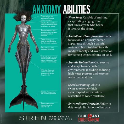 siren wiki|are all sirens female.